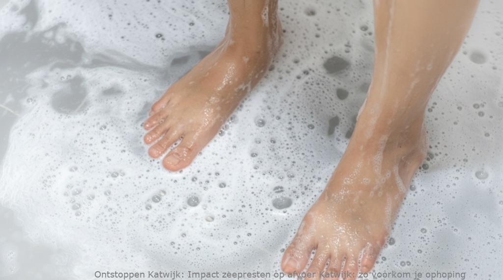 Impact zeepresten op afvoer Katwijk: preventie & oplossingen